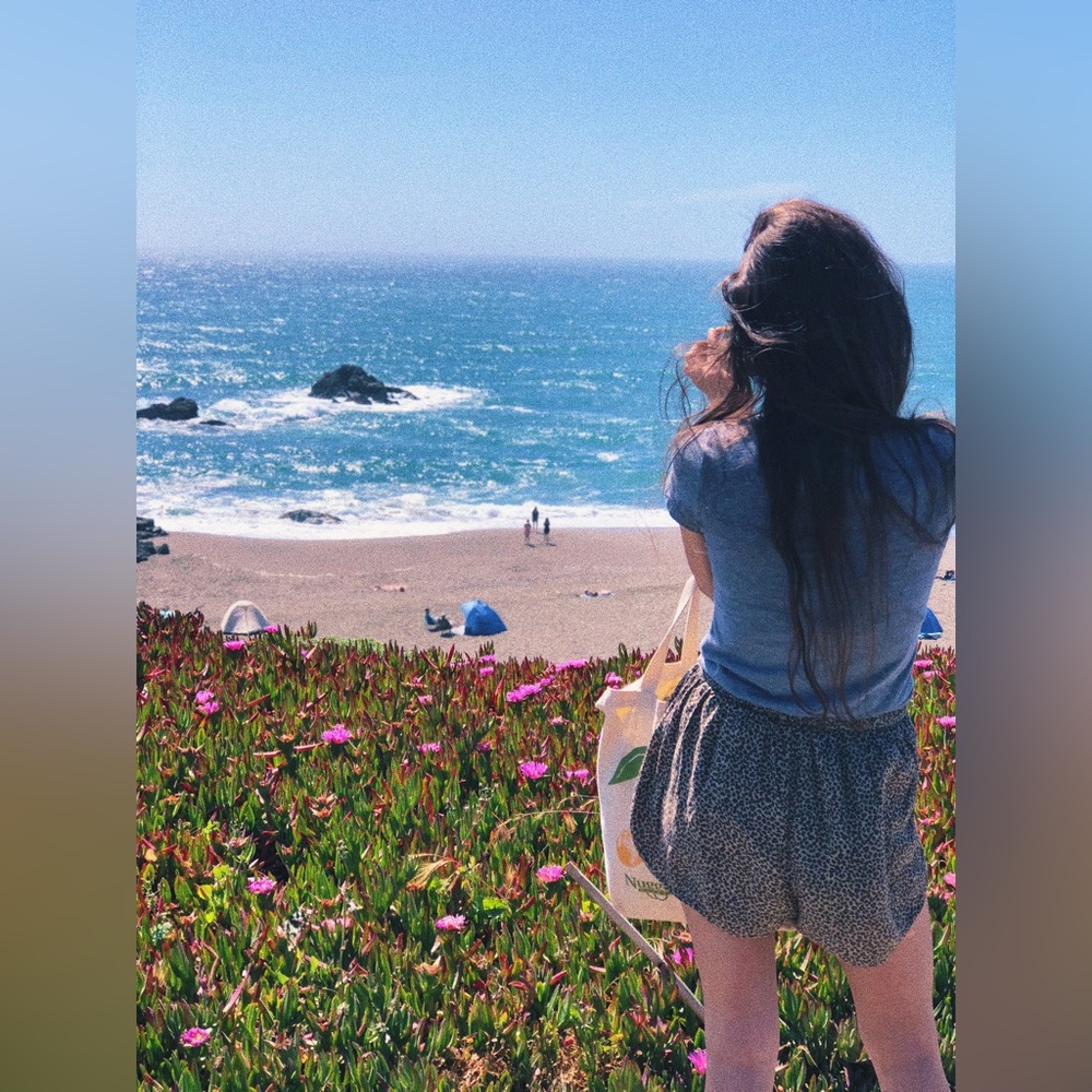 Abercrombie Leopard Print Shorts - image 5